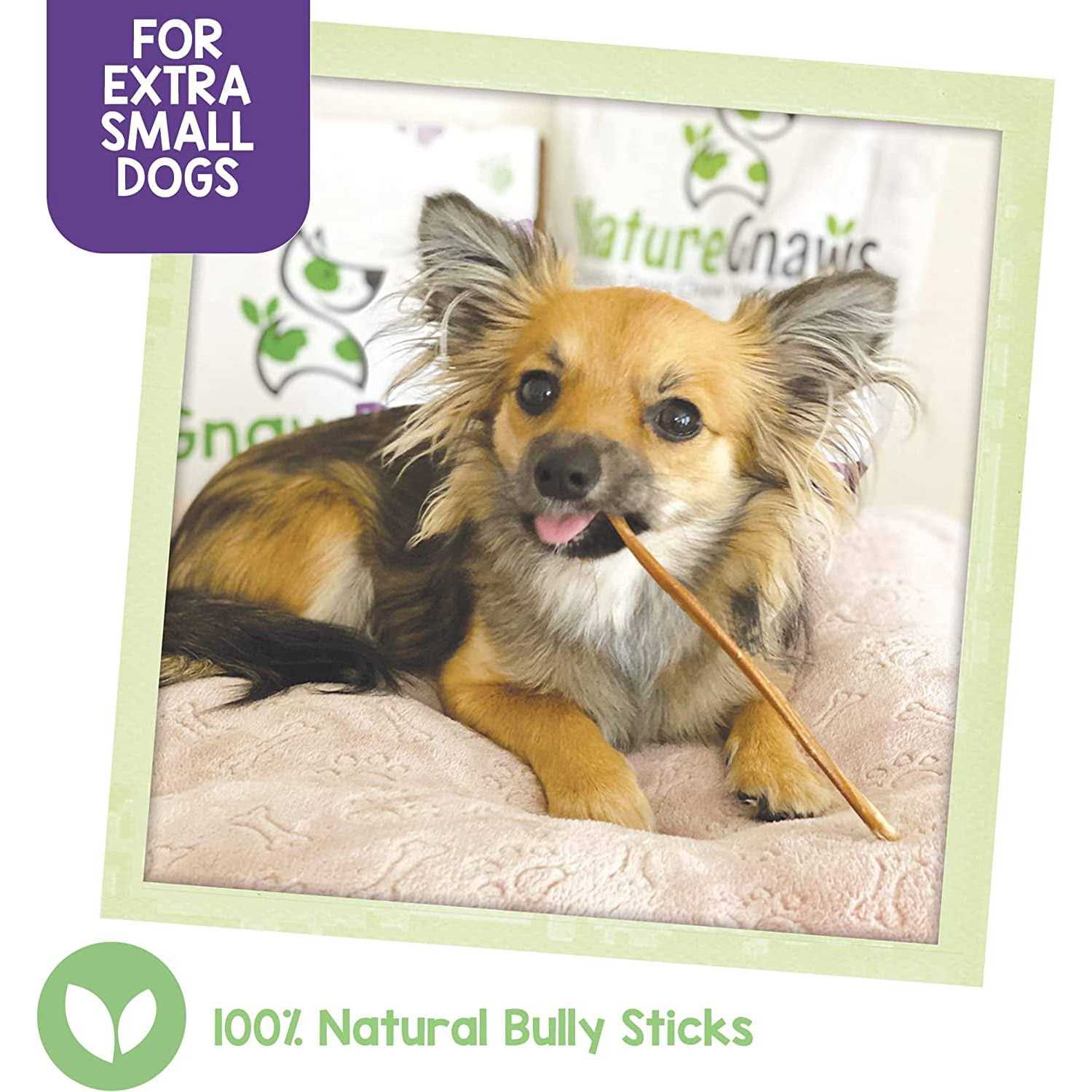 Bully Sticks for Dogs Natural Beef Bones T74754