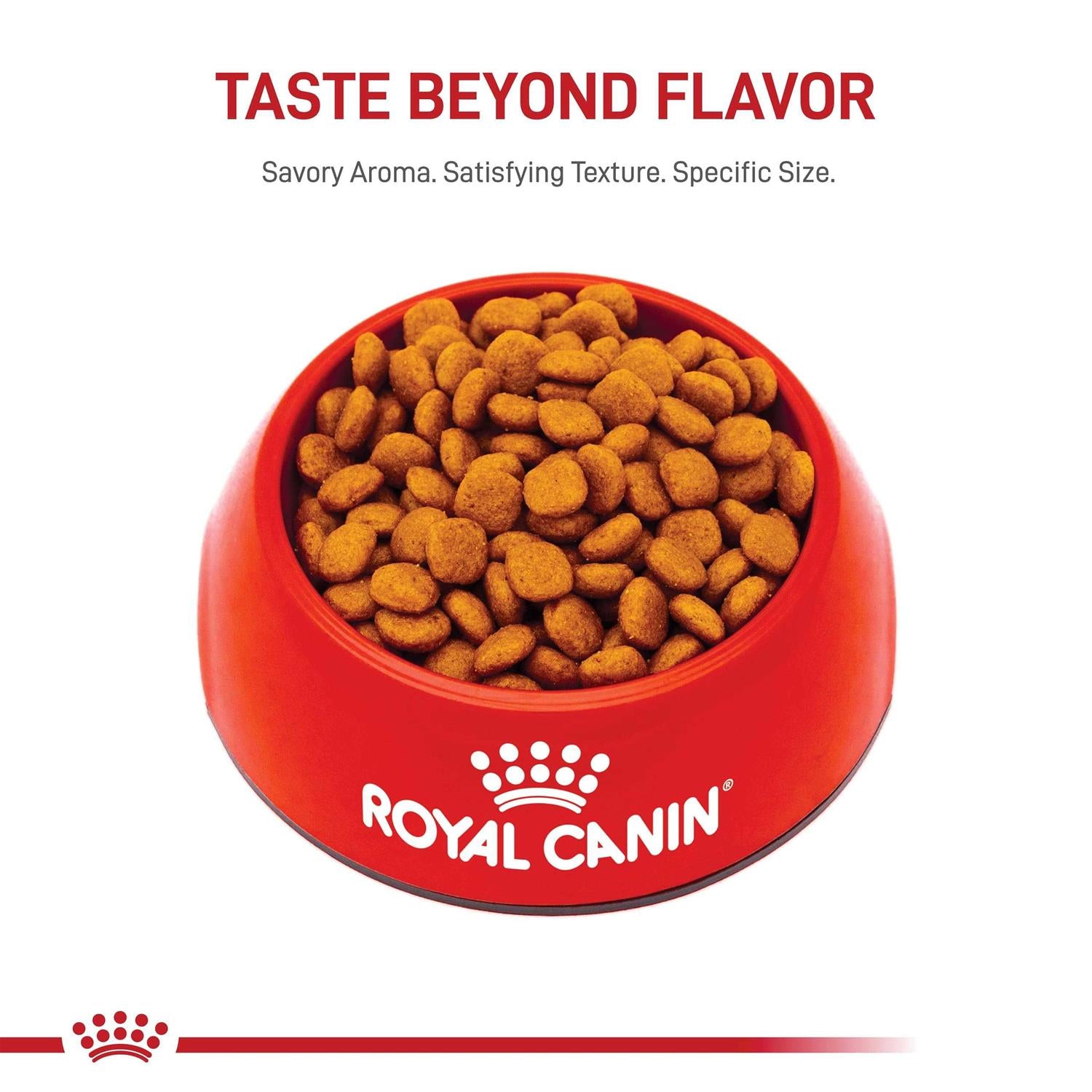 Adult Cavalier King Charles Dry Dog Food I944817