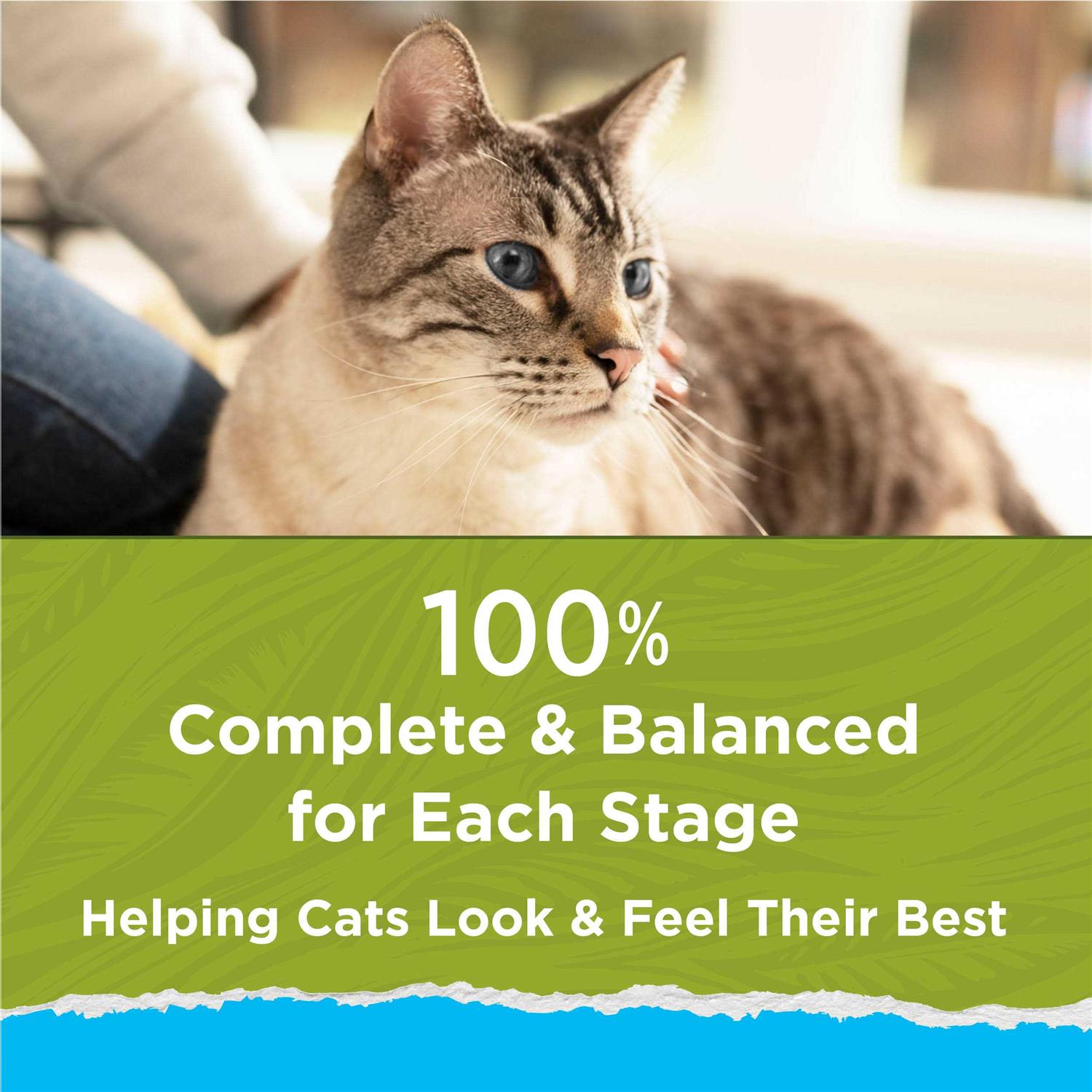 Indoor Dry Cat Food G62557