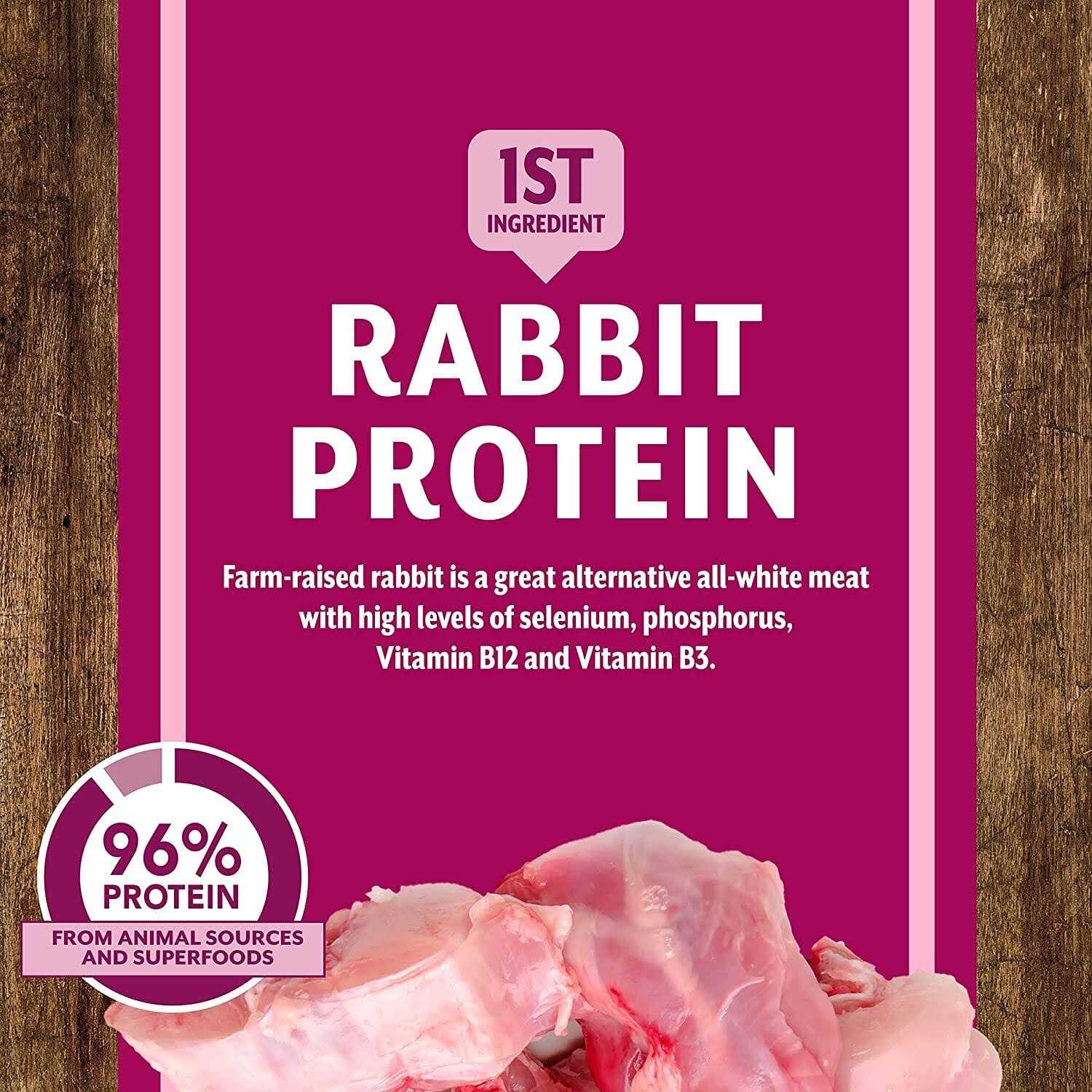 Earthborn Holistic Venture Grain Free Rabbit Meal Pumpkin Dry Dog Food - Pet Supplies online store