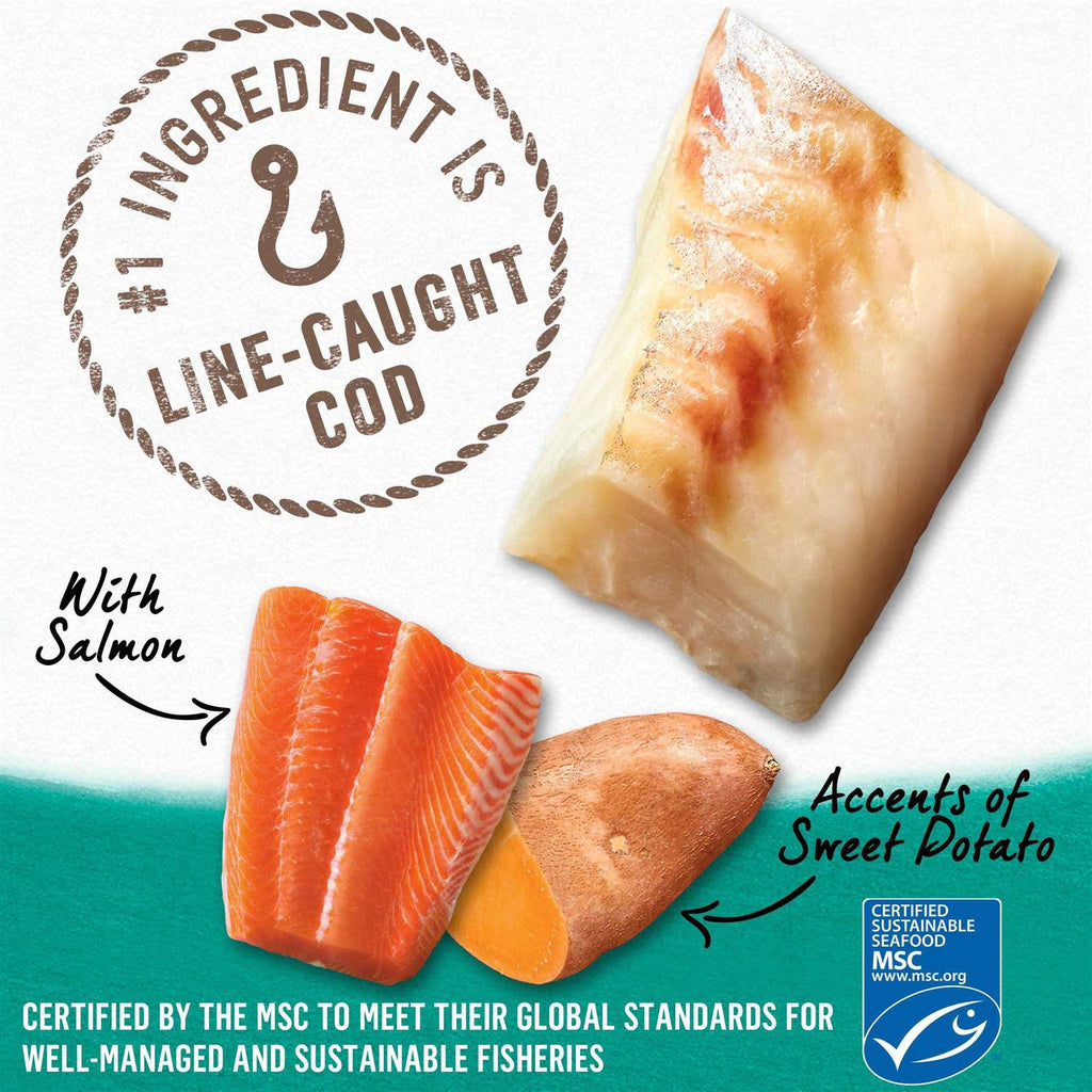 Alaskan Cod Salmon & Sweet Potato Wet Dog Food Can Y4273