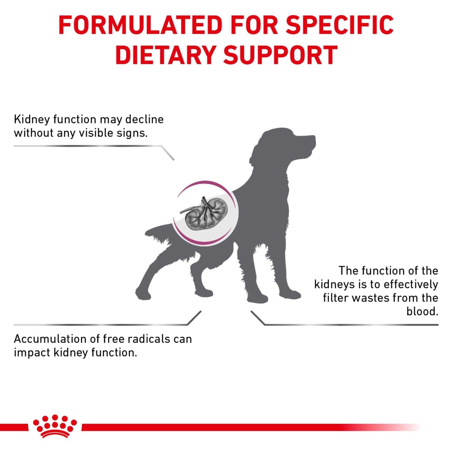Veterinary Diet Canine Renal Support Dry Dog Food S479681