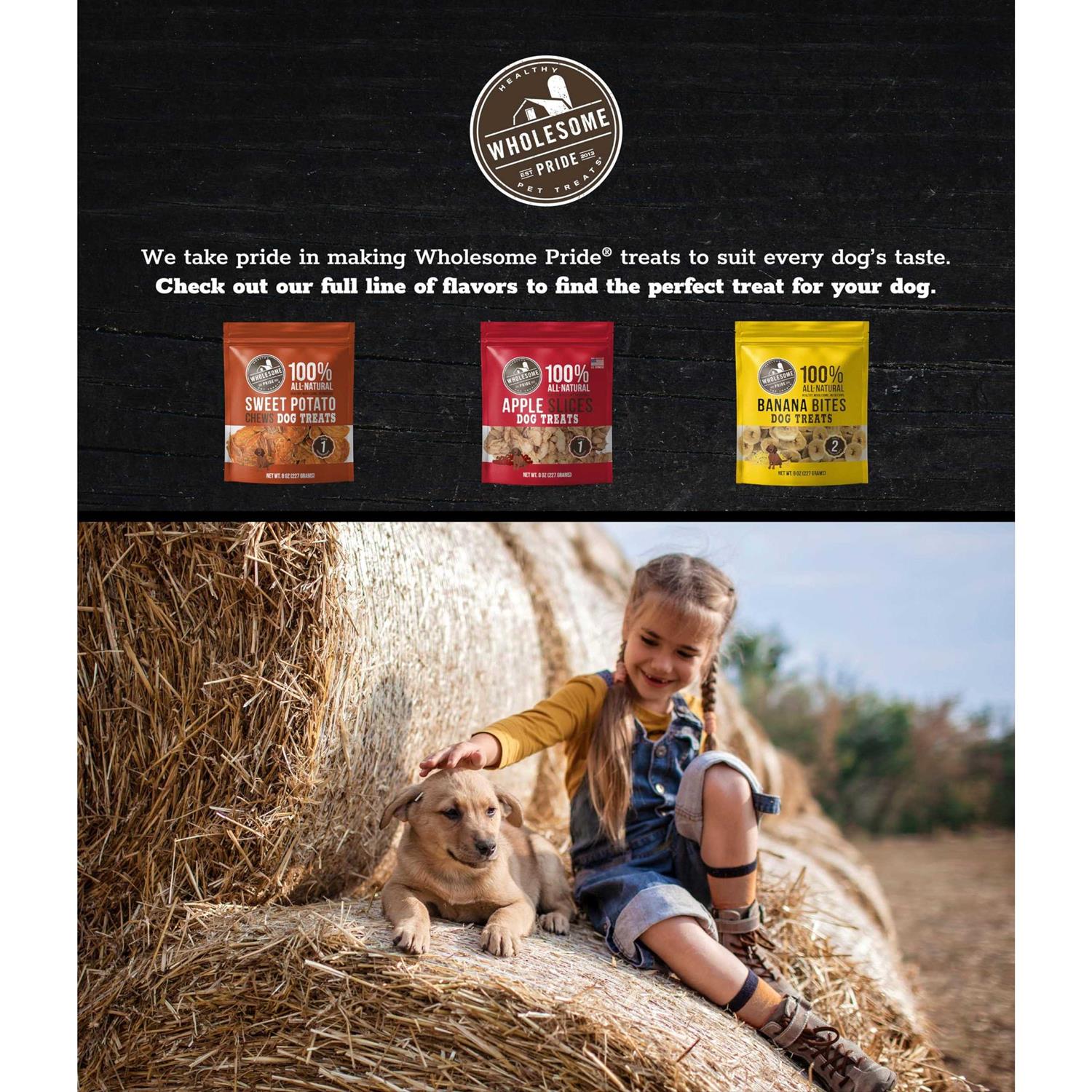 Sweet Potato Chews Dog Treats Y6192