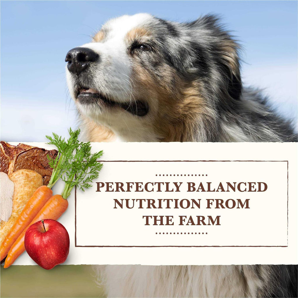 Grain Free Wet Dog Food Chicken Turkey N53656