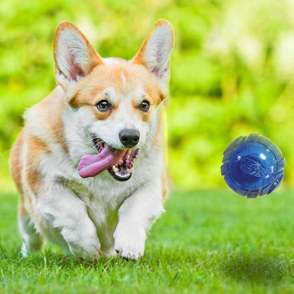 LED Ball Dog Toys M406