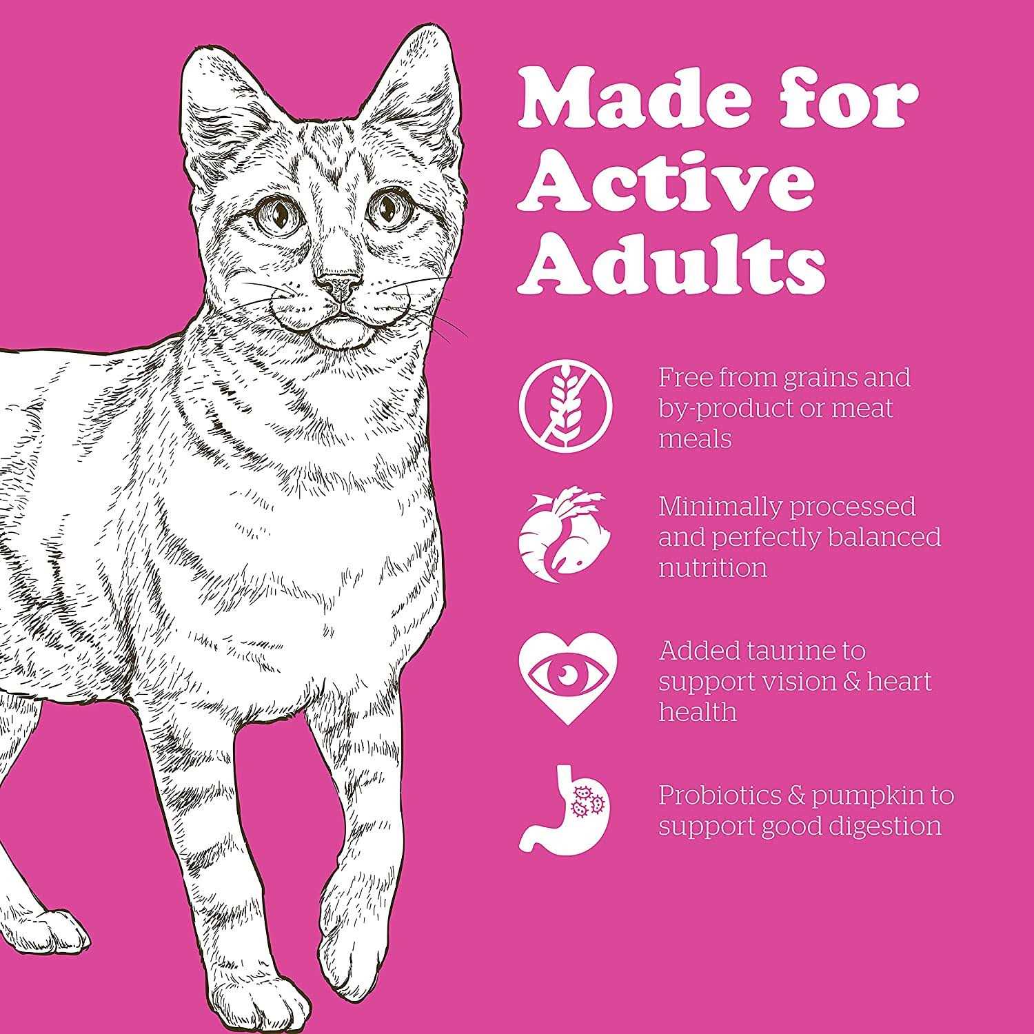 Grain-Free Adult Dry Cat Food I162994