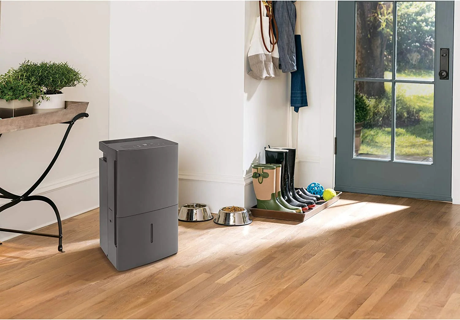 Dehumidifier with Built-in Pump W436