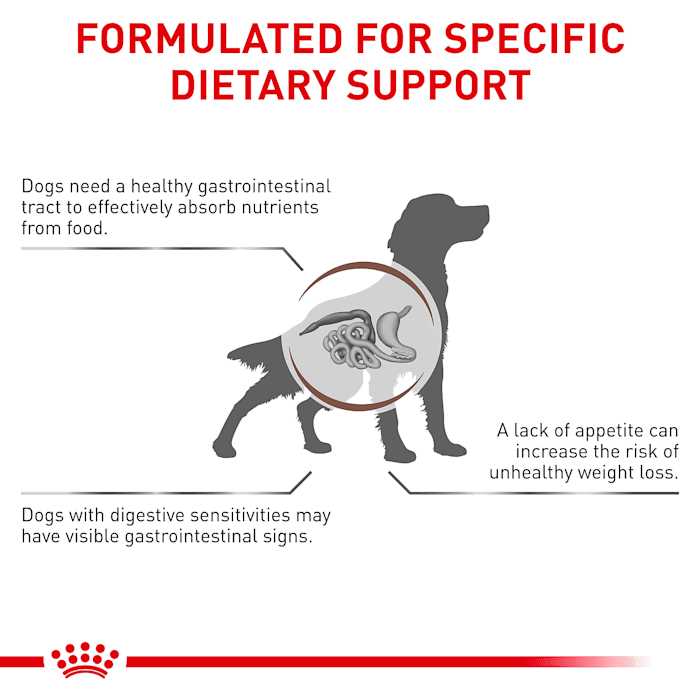 Gastrointestinal Dry Dog Food T4081