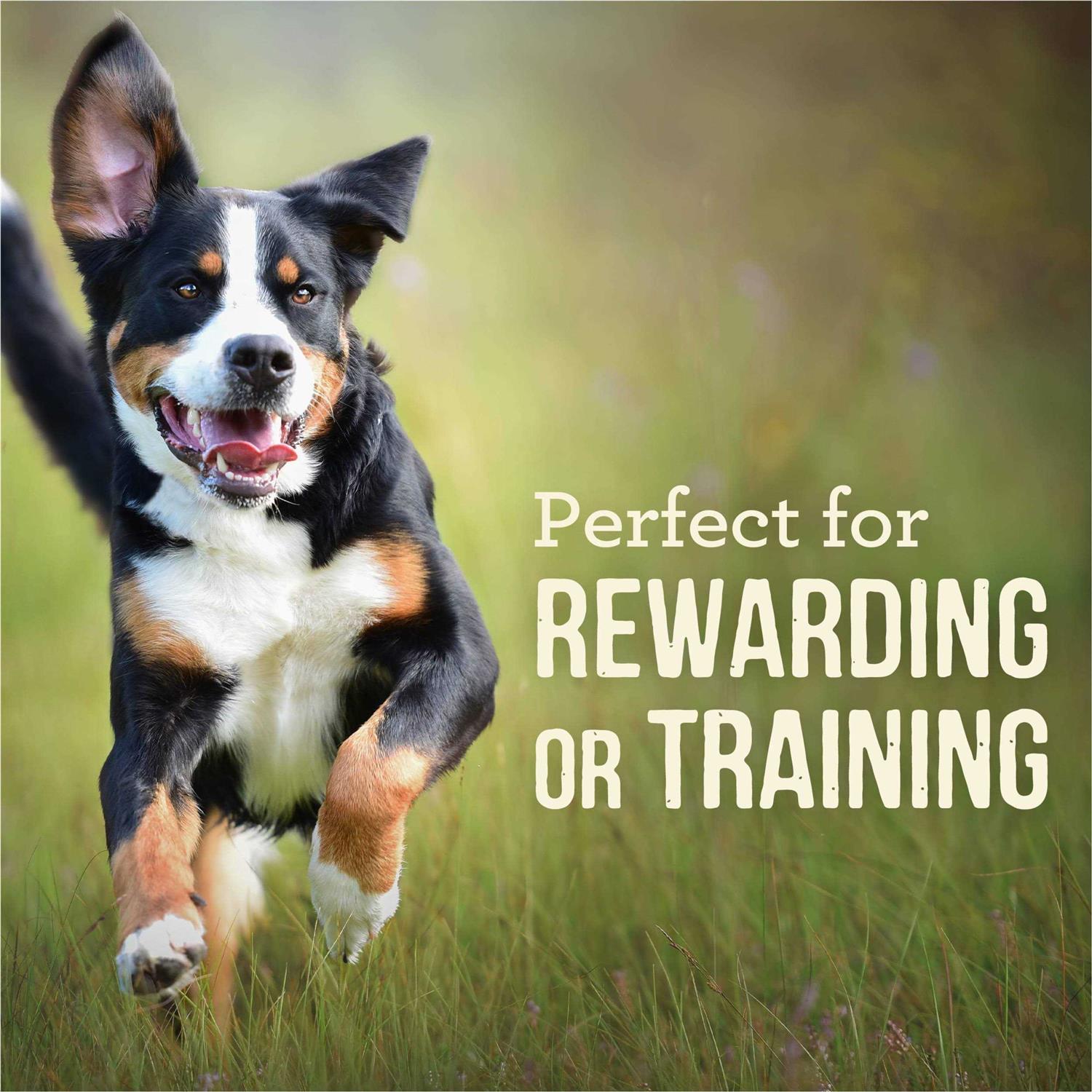 Grain Free Rabbit Recipe Dog Treats R940119