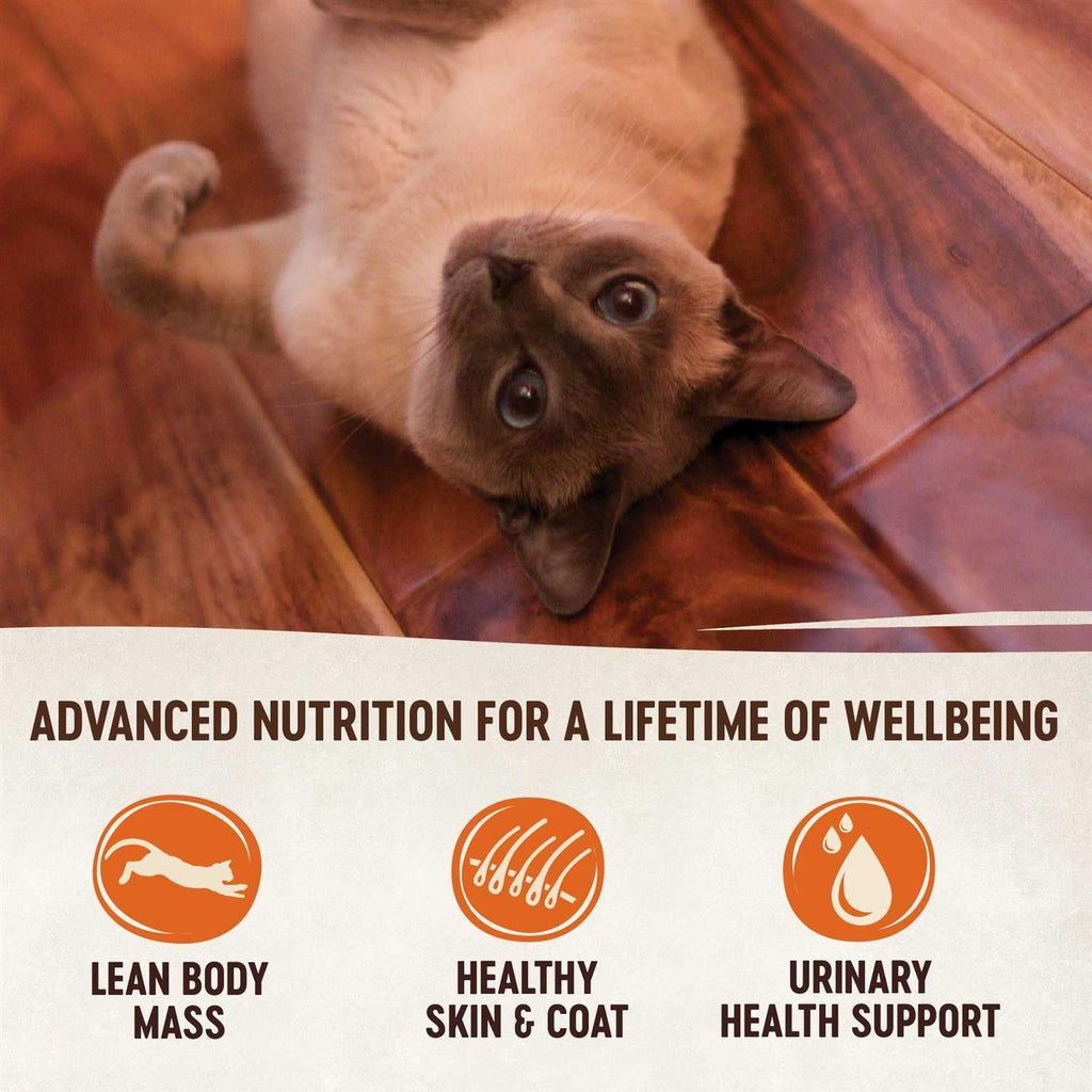 Natural Grain-Free Chicken Turkey & Liver Pate Canned Cat Food K51257