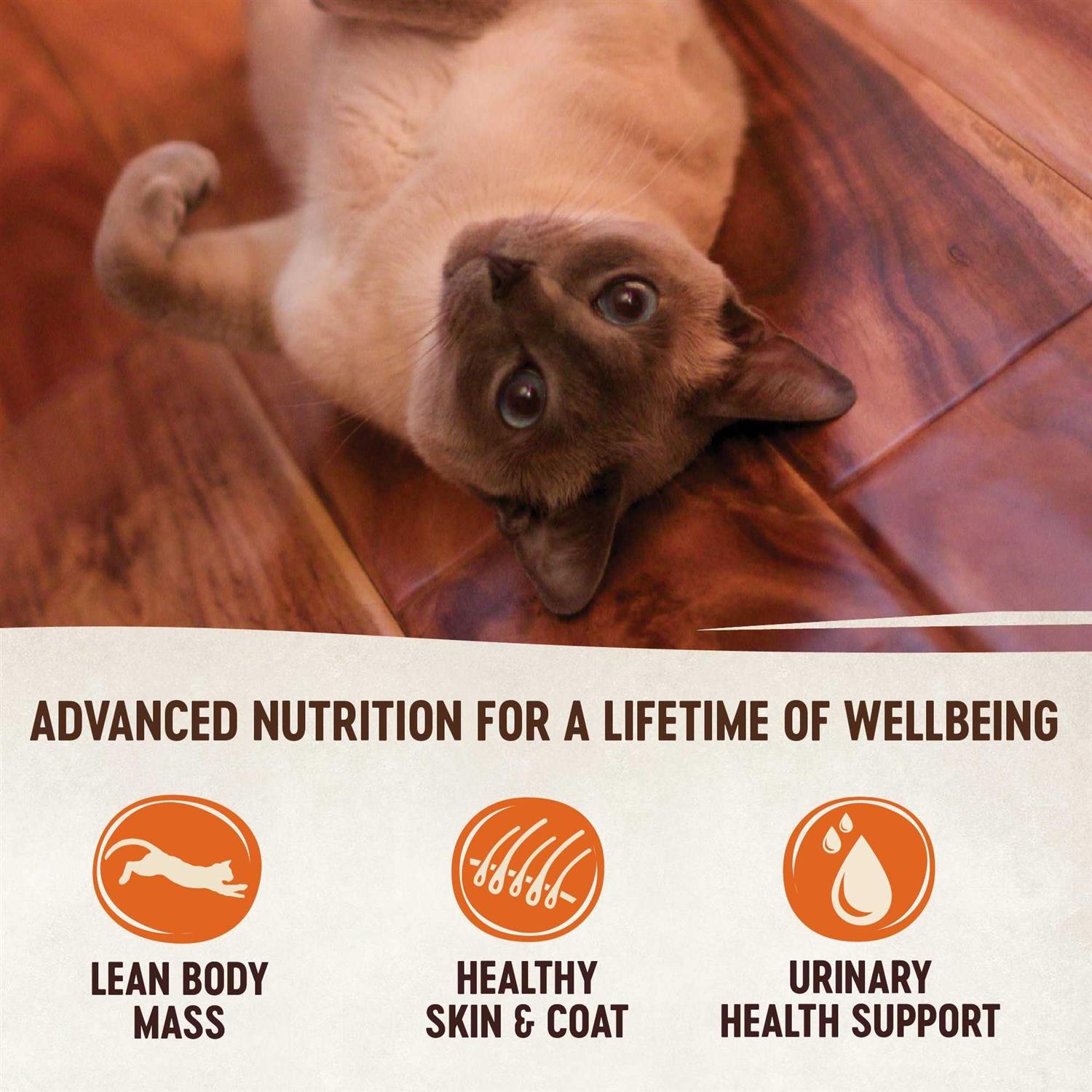 Natural Grain-Free Chicken Turkey & Liver Pate Canned Cat Food K51257