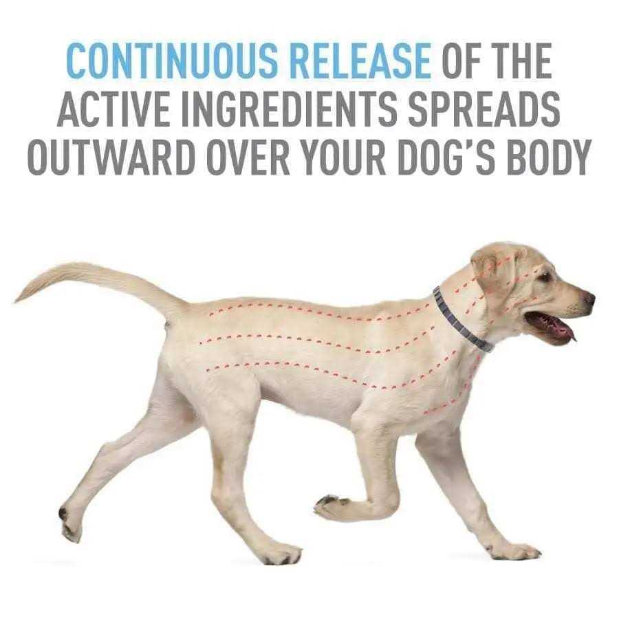 Flea Tick Collar for Dogs Puppies Y484044