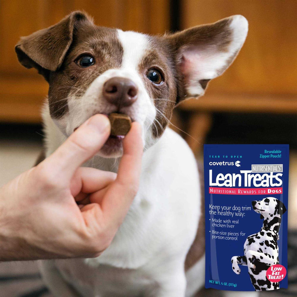 Lean Treats Dogs E798