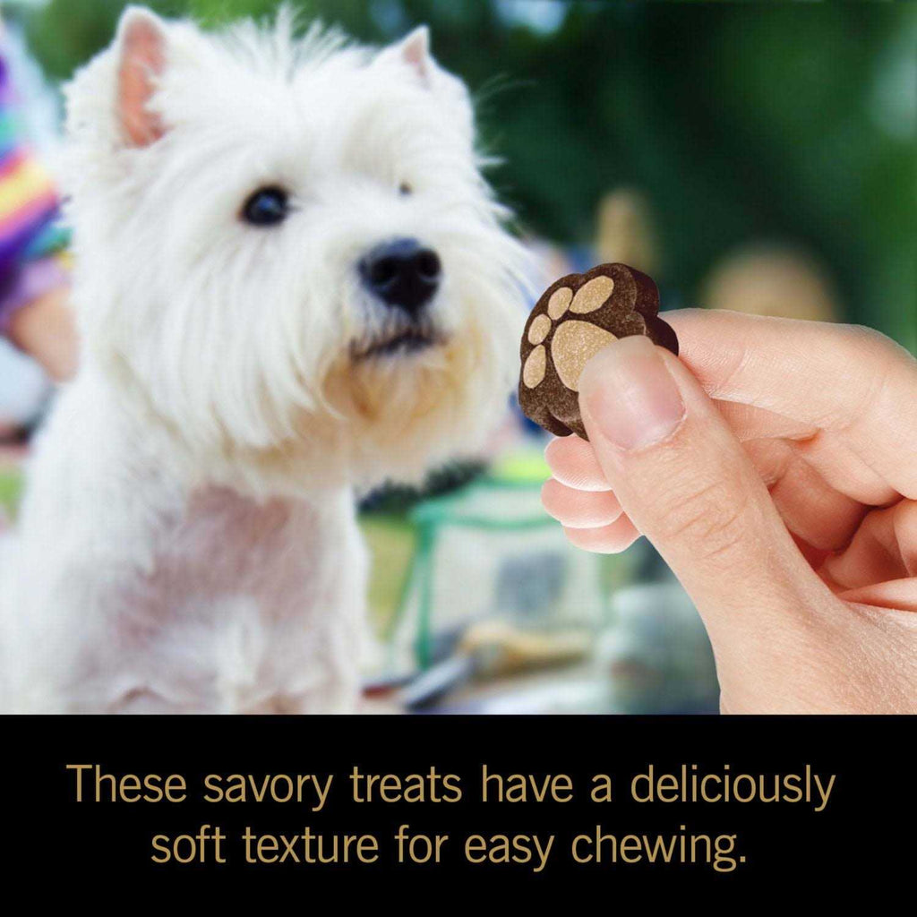 Soft Dog Treats Y13248