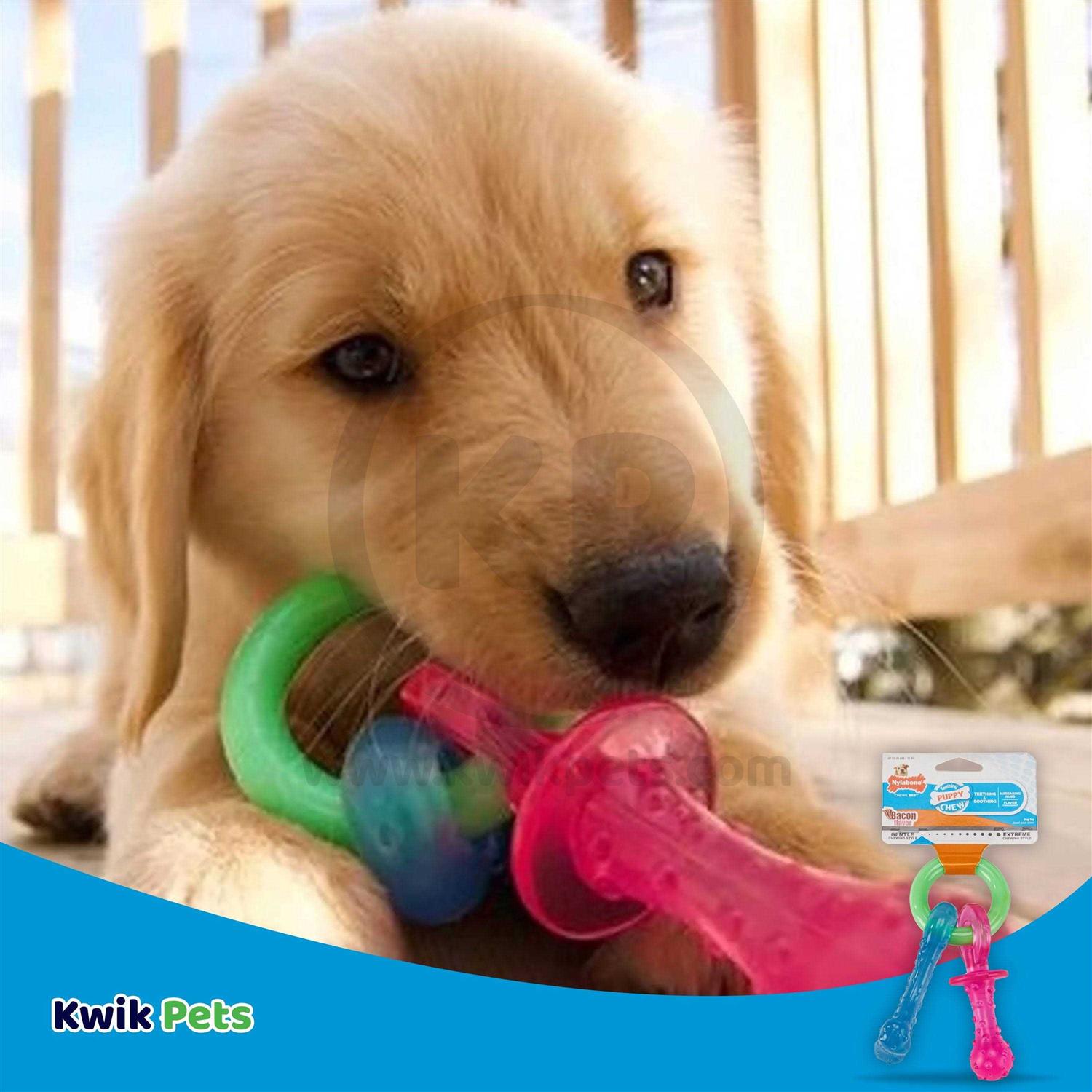 Puppy Chew Teething Pacifier D789276
