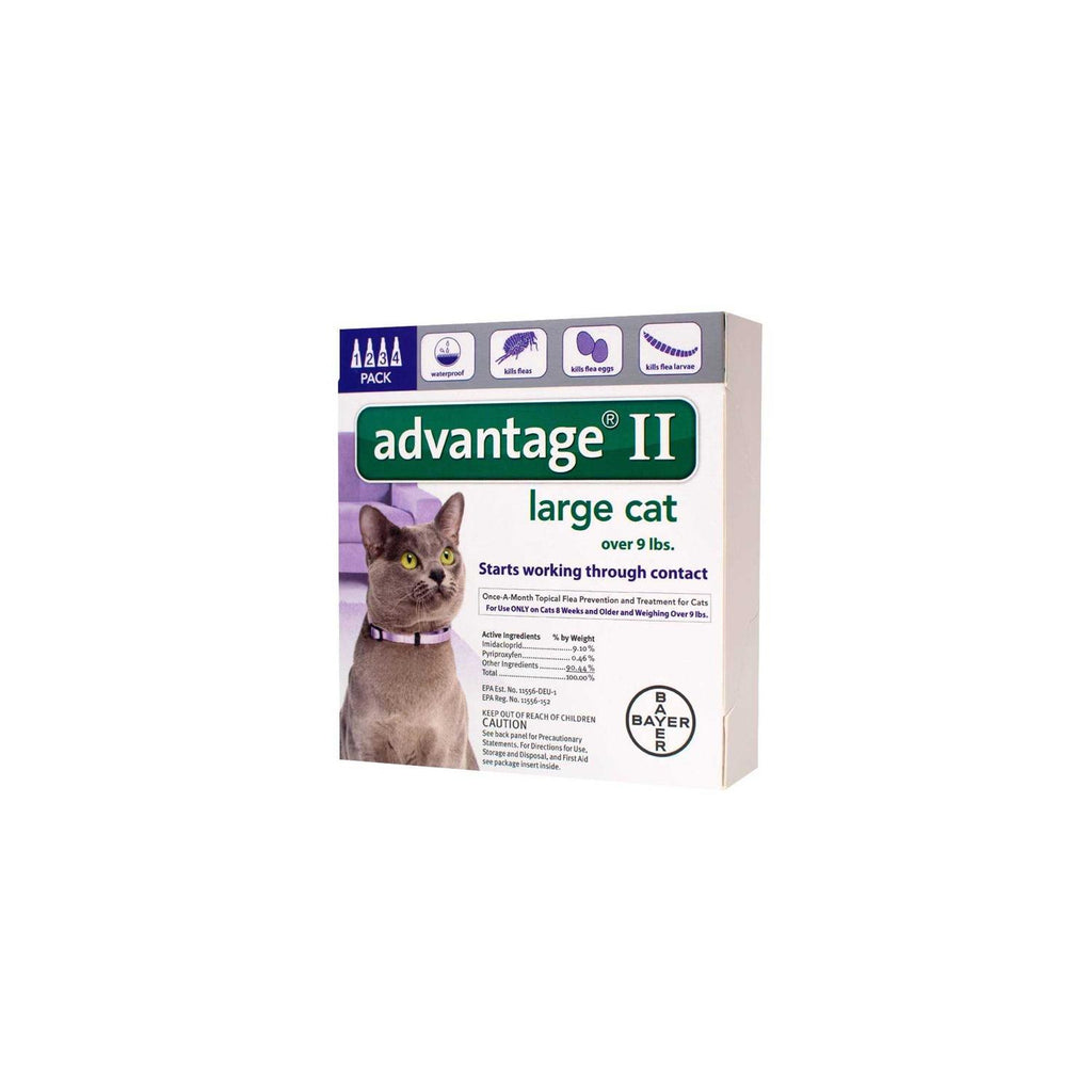Flea Treatment for Cats Q445819