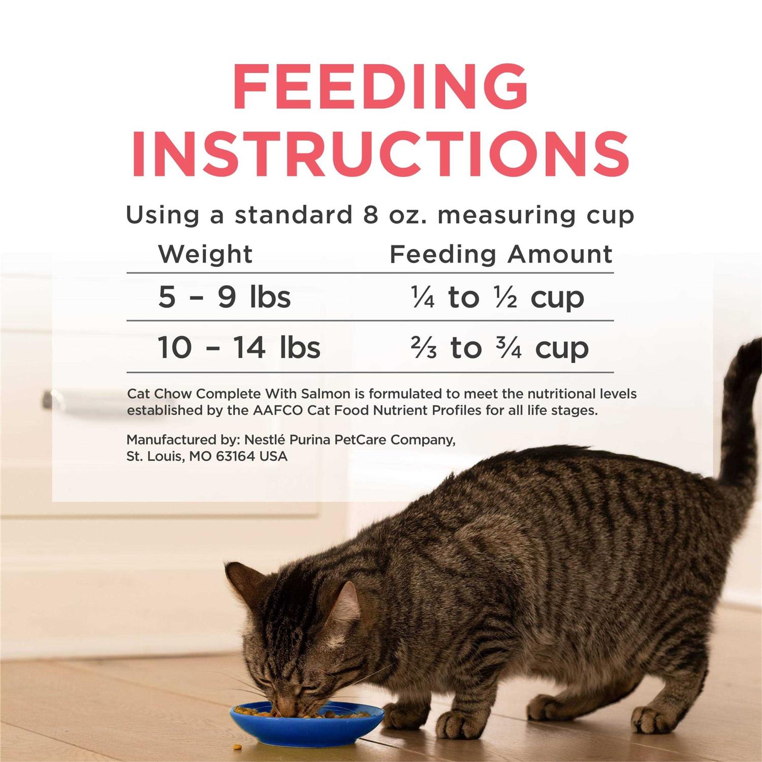 Salmon High Protein Dry Cat Food N5650