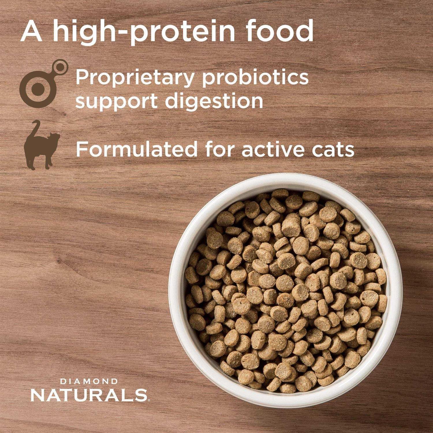 Active Chicken Meal & Rice Formula Dry Cat Food T98830