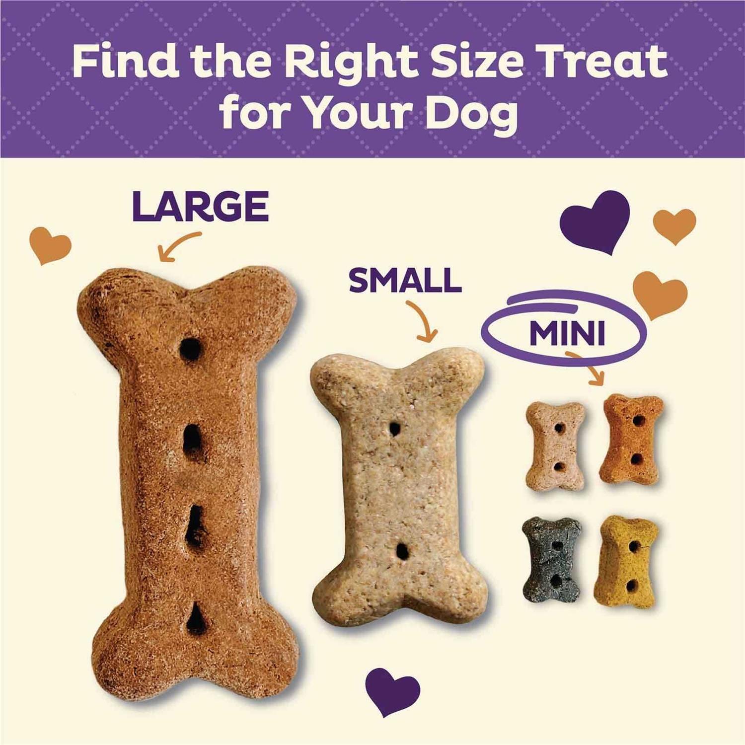 Mini Baked Dog Treats Biscuits R57795