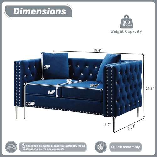 Velvet Loveseat Sofa for Living Room, 59 Inch Modern Upholstered with Pillows, Black W6680