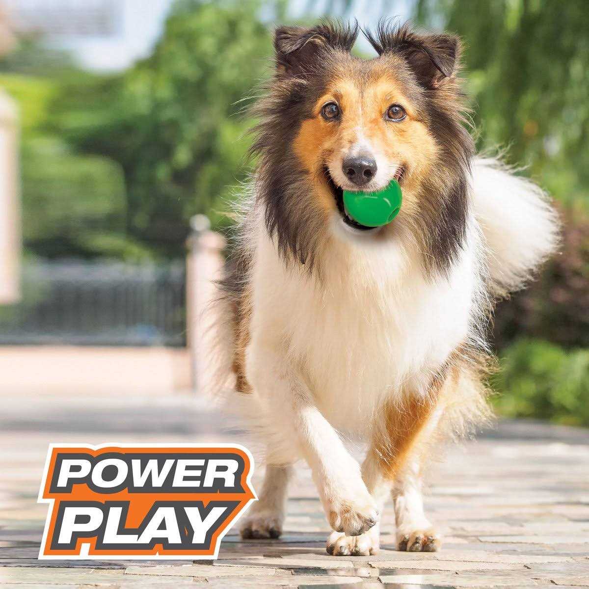 Dog Chew Ball Toy for Pets G2935