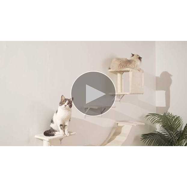 Wall-Mounted Cat Furniture Set with Shelves, Climber, and Scratcher C608364