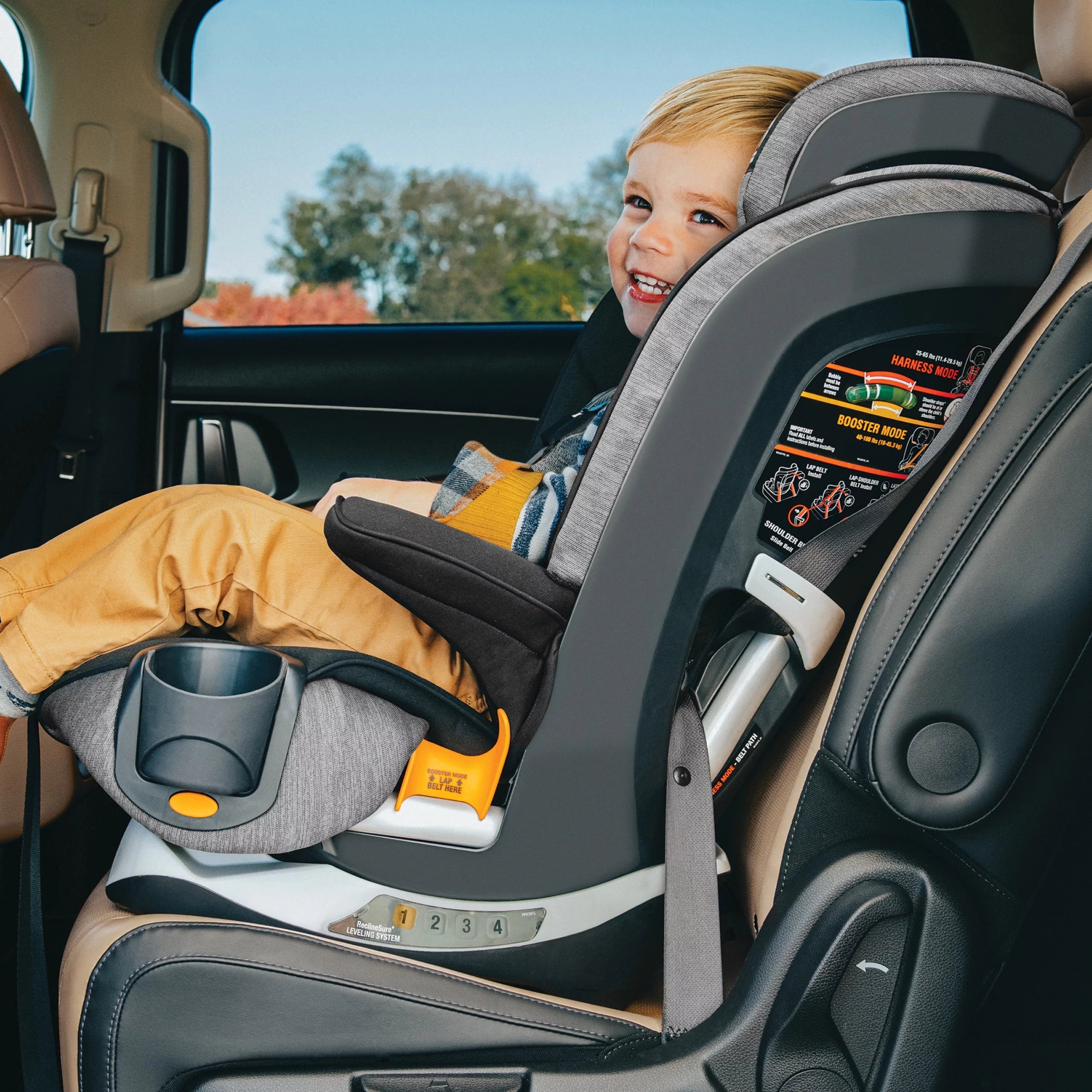 Harness + Booster Car Seat - Shadow (Black) O257853