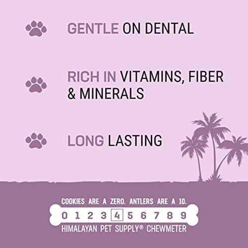Coconut Bone Dog Chew L2640