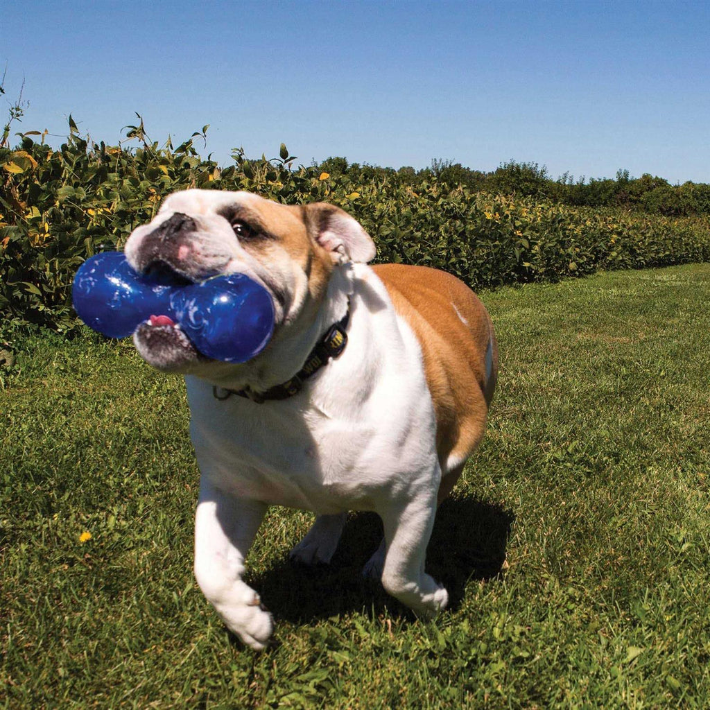 Dumbbell Dog Toy R483