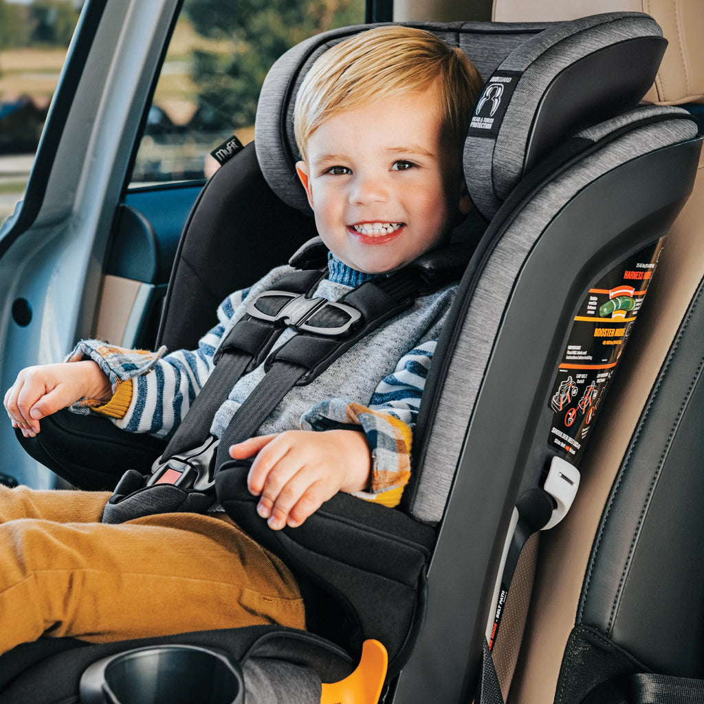 Harness + Booster Car Seat - Shadow (Black) O257853