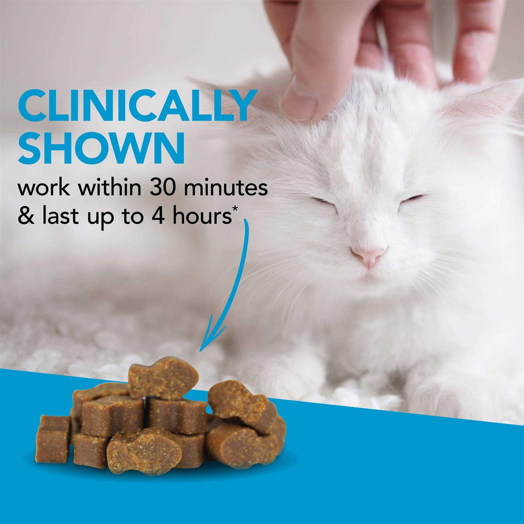 Composure Calming Supplement for Cats I663152