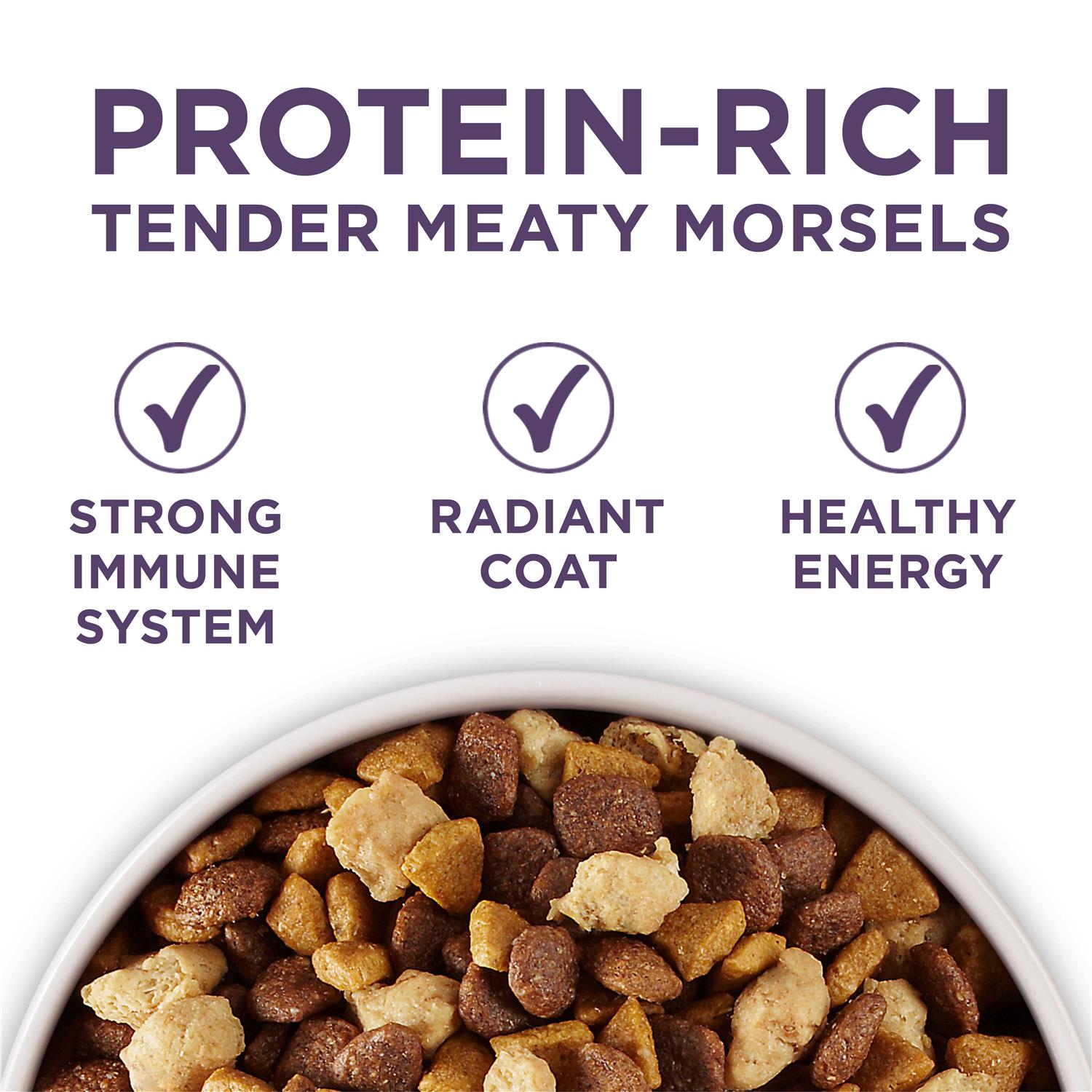 Adult Dry Dog Food for Senior Dogs H630