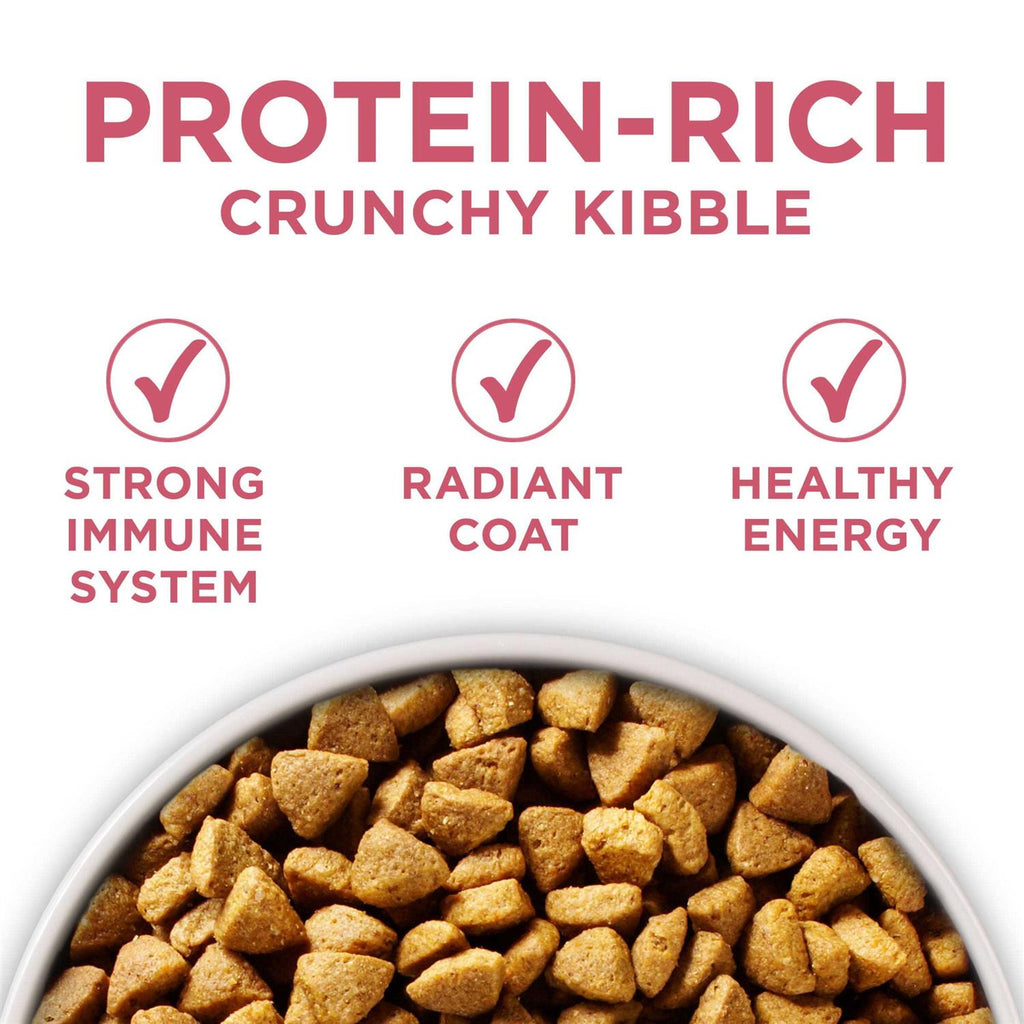 Dry Dog Food for Skin & Coat B4880