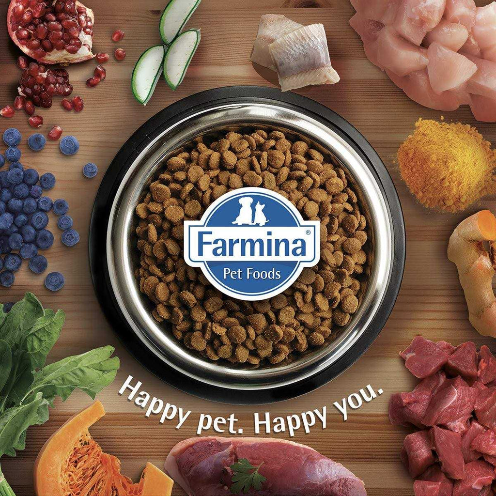 Chicken & Pomegranate Dry Dog Food for Medium & Large Breeds C434287