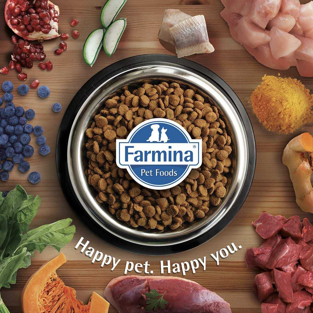 Chicken & Pomegranate Dry Dog Food for Medium & Large Breeds C434287