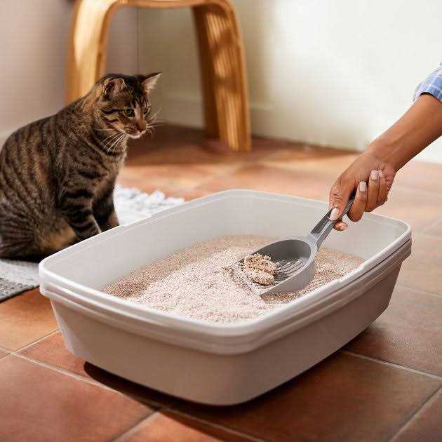 Natural Clumping Grass Cat Litter R28886