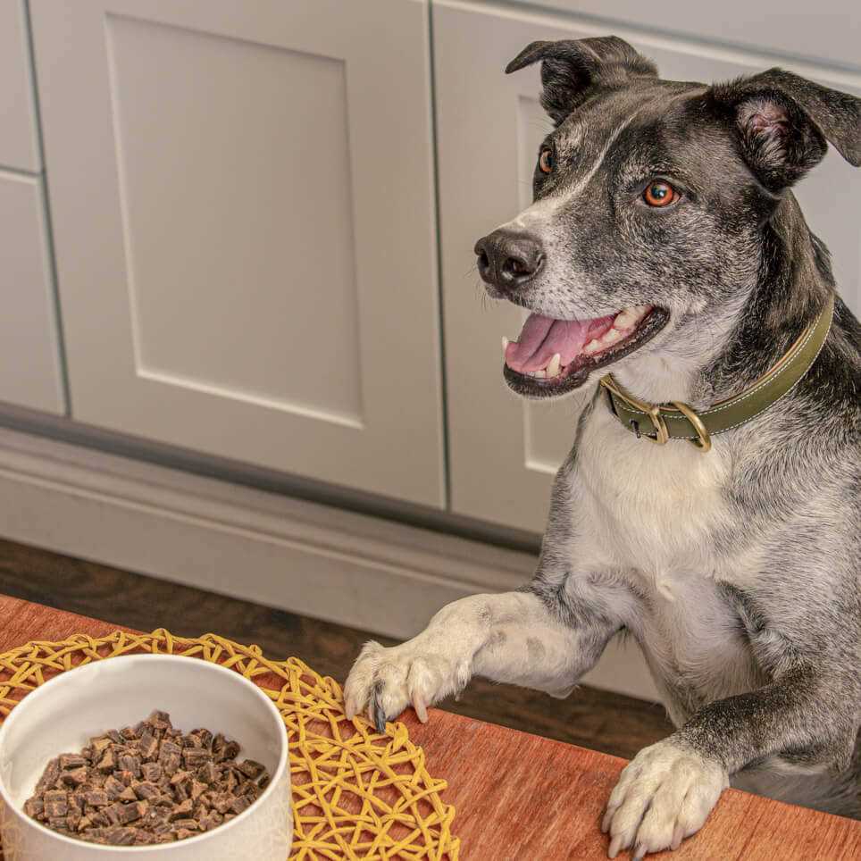 Air Dried Chicken Dog Food O2337