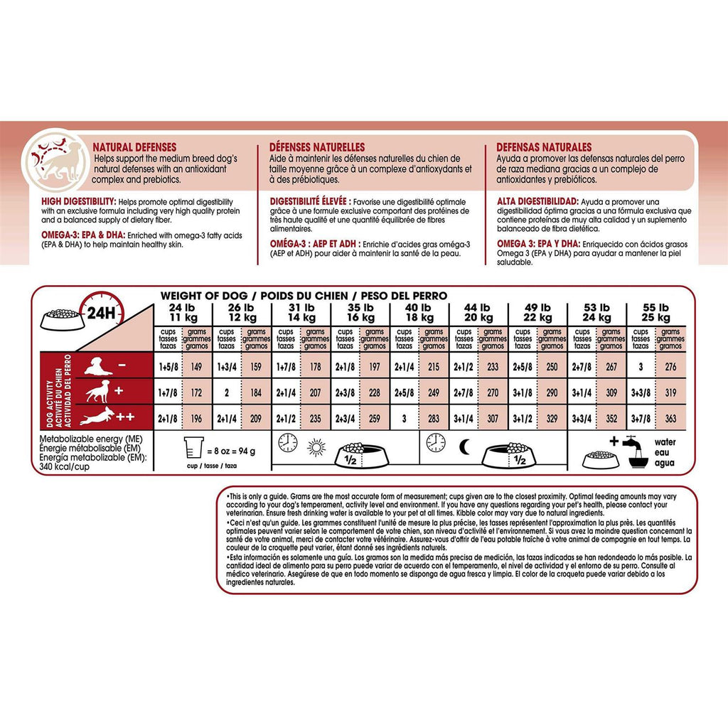 Medium Adult Dry Dog Food Y159684