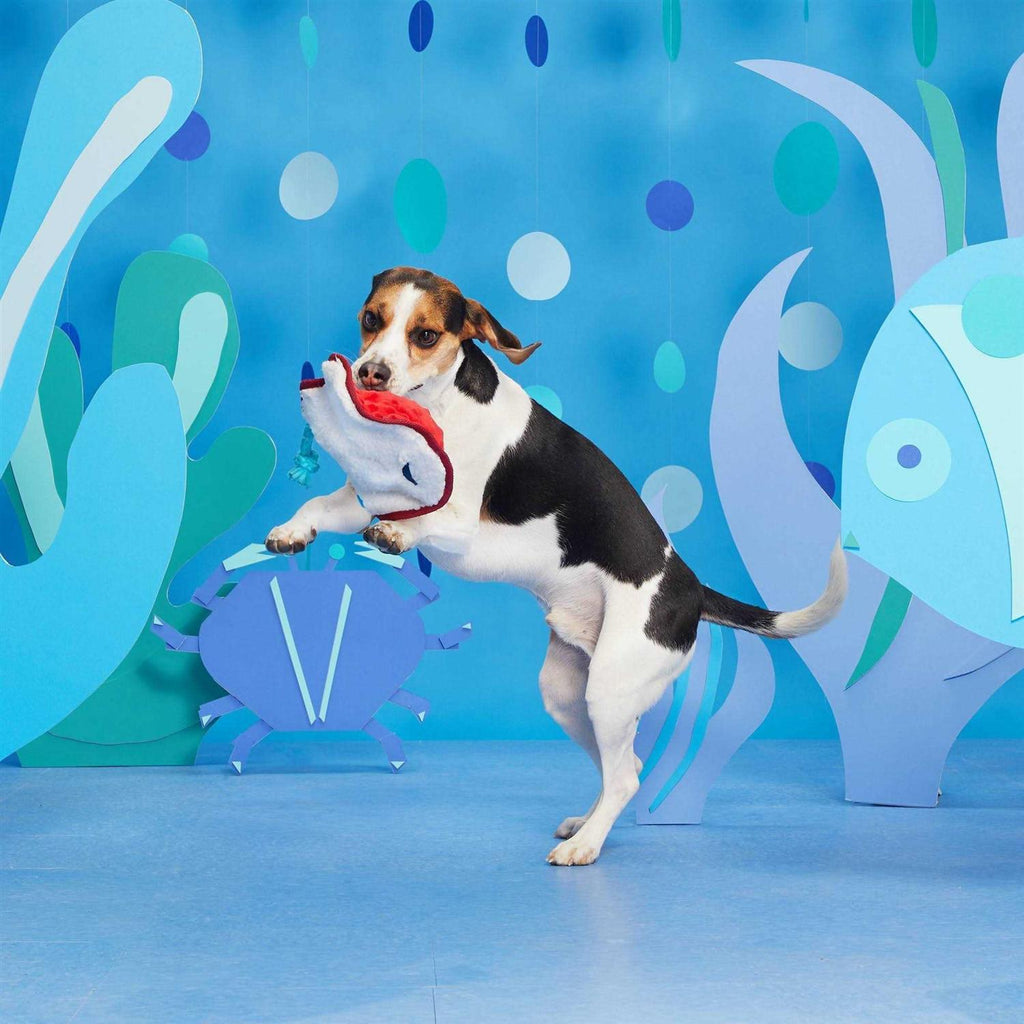 Sting Ray Dog Toy B52461