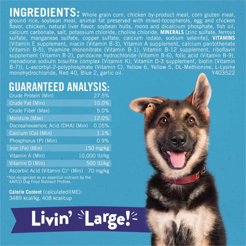 Large Breed Dry Puppy Food with Real Chicken K21288