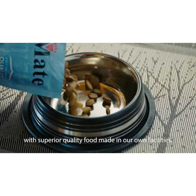 Large Breed Grain Friendly Dry Dog Food Q775