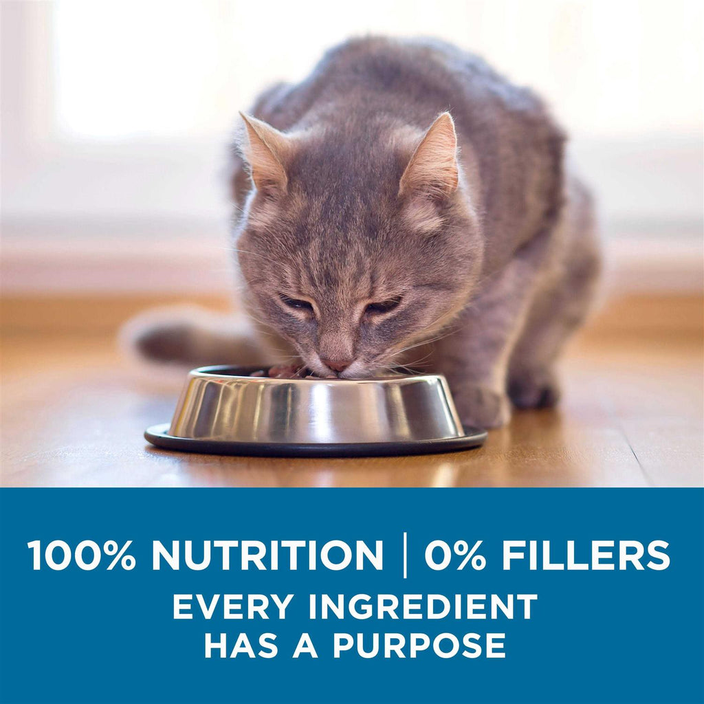 Senior Dry Cat Food L874