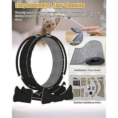 Cat Exercise Wheel 40 inch Solid Wood for Indoor Cats I435