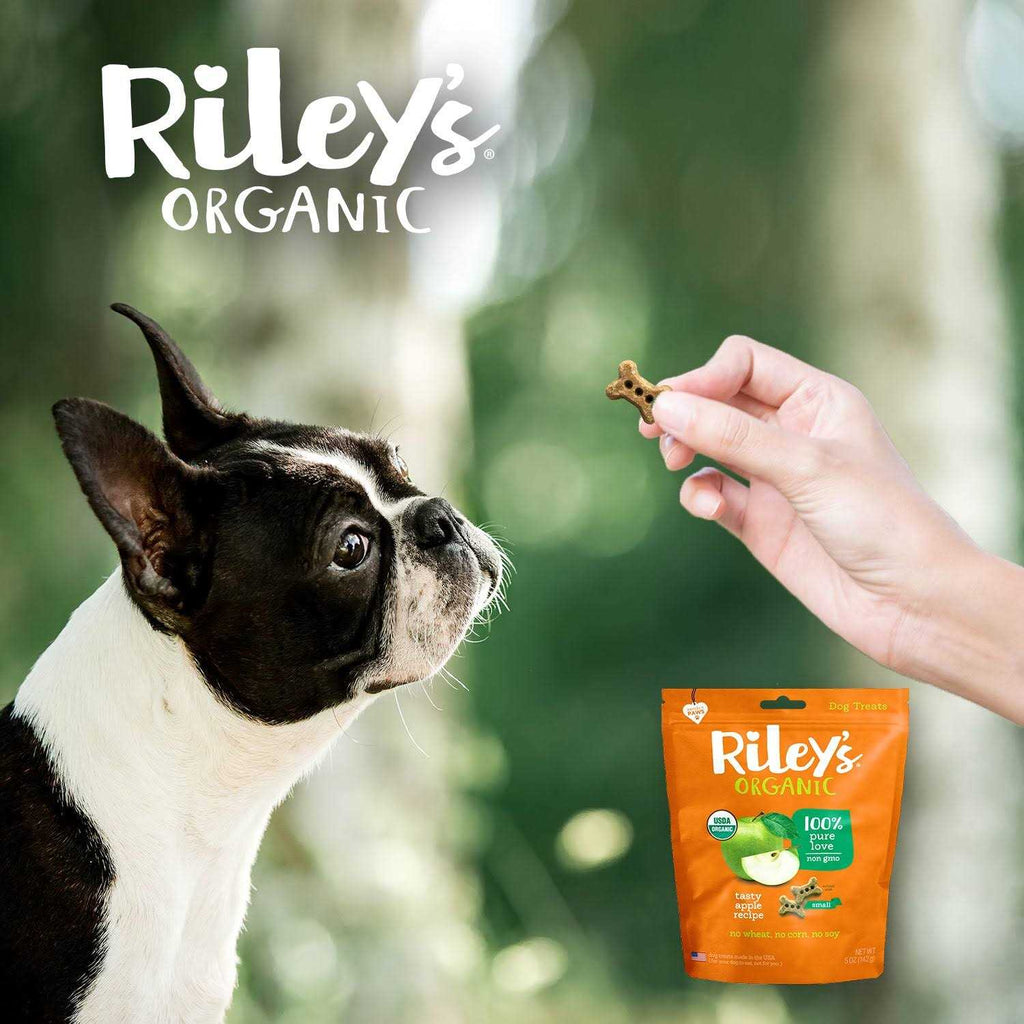 Organic Dog Treats V5377
