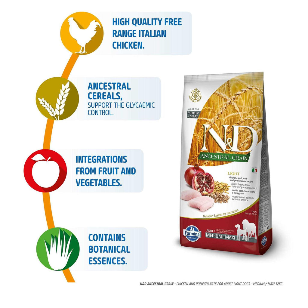 Chicken & Pomegranate Dry Dog Food for Medium & Large Breeds C434287