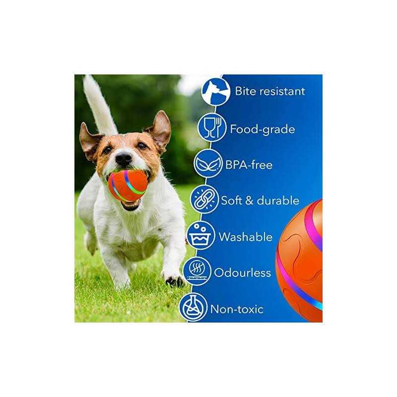 Interactive Dog Ball Toy with USB Charging and LED Lights L29816