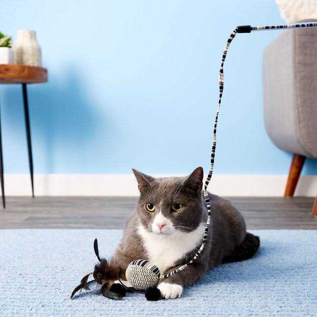 Cat Toy Ball with Wand B8512