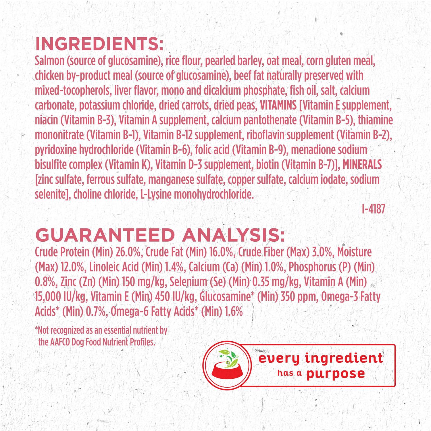 Dry Dog Food for Skin & Coat B4880