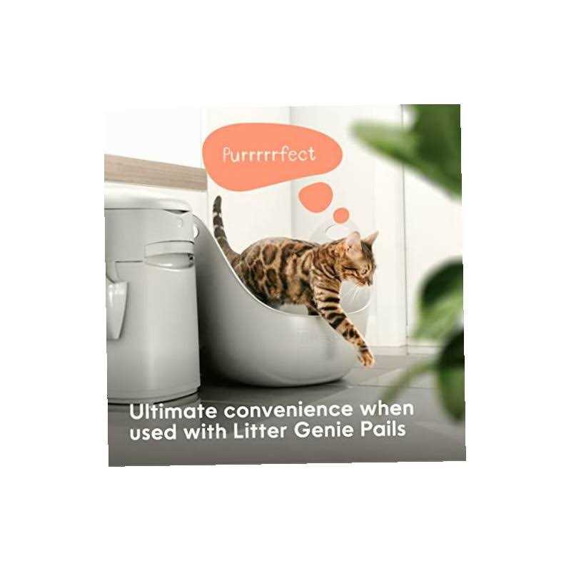 Cat Litter Box P581804
