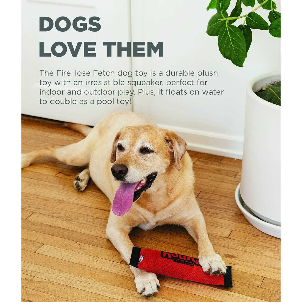 Fetch Dog Toy N790585
